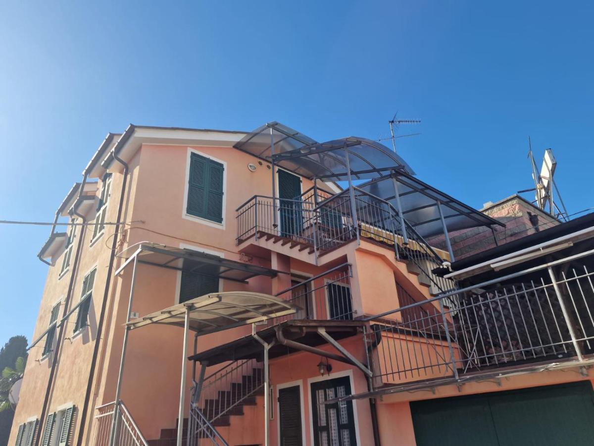 阿尔本加Palm House公寓 外观 照片